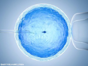 陈鎏主任